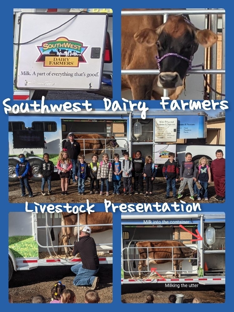 Livestock Presentation 