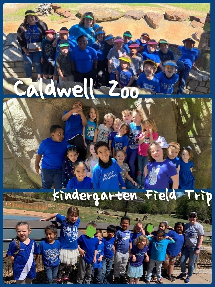 Kinder Field Trip