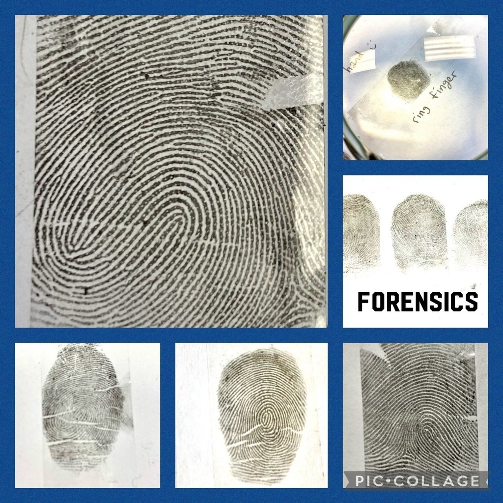 Forensics